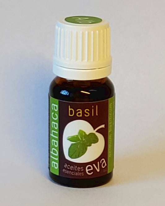 BASIL. Essential oil.