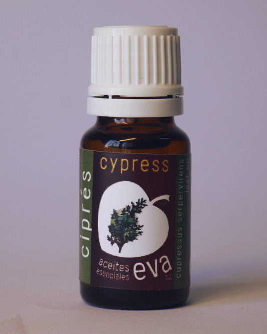 CYPRESS. Essential oil.