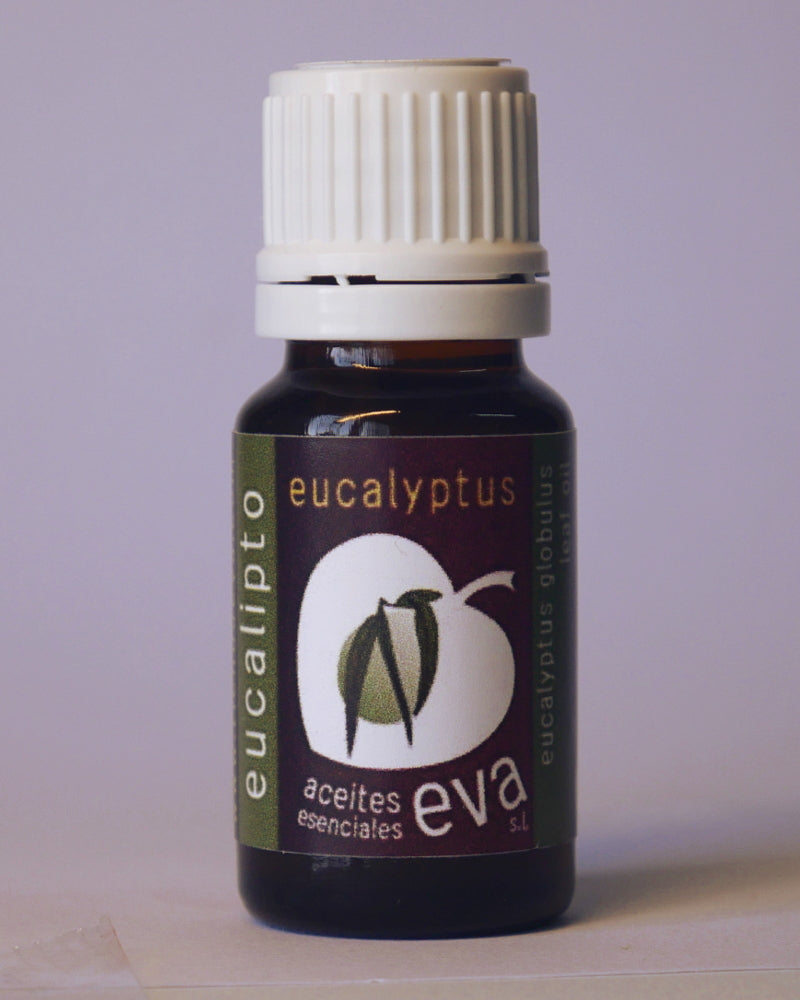 EUCALYPTUS. Essential oil