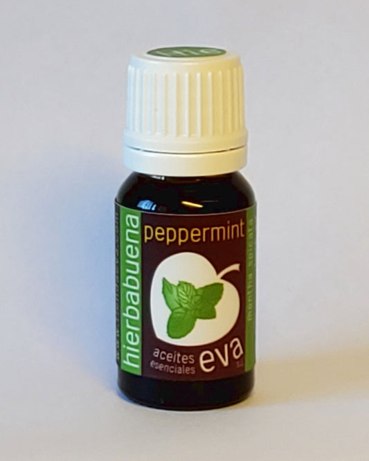 PEPPERMINT. Essential oil.