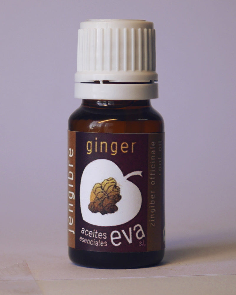 GINGER. Essential oil.