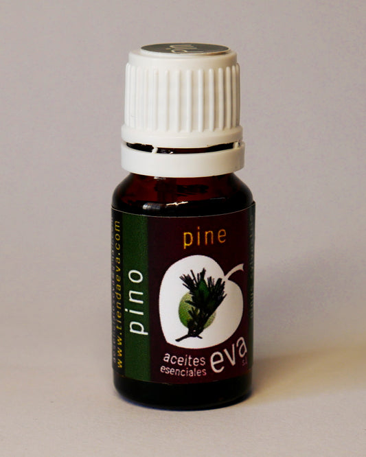 PINE TREE. Essential oil.