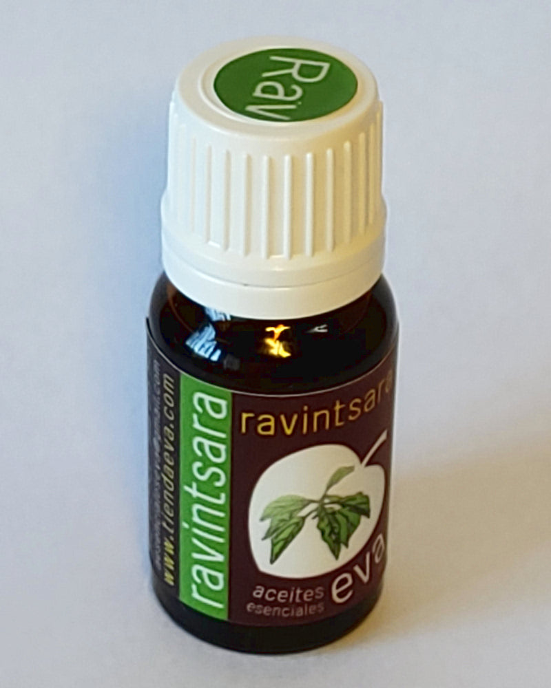 Ravintsara. Essential oil.