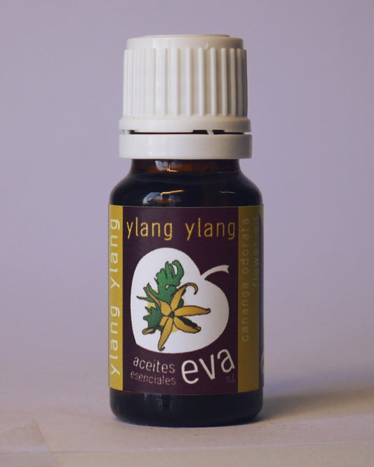 Ylag Ylang. Essential oil.